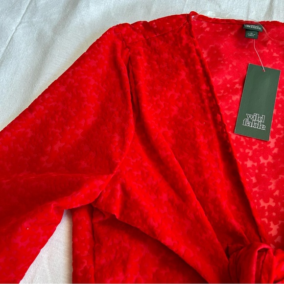 Brand New!! Wild Fable | Red Velvet Textured Front Tie Crop Top with Flowers - Picture 5 of 12